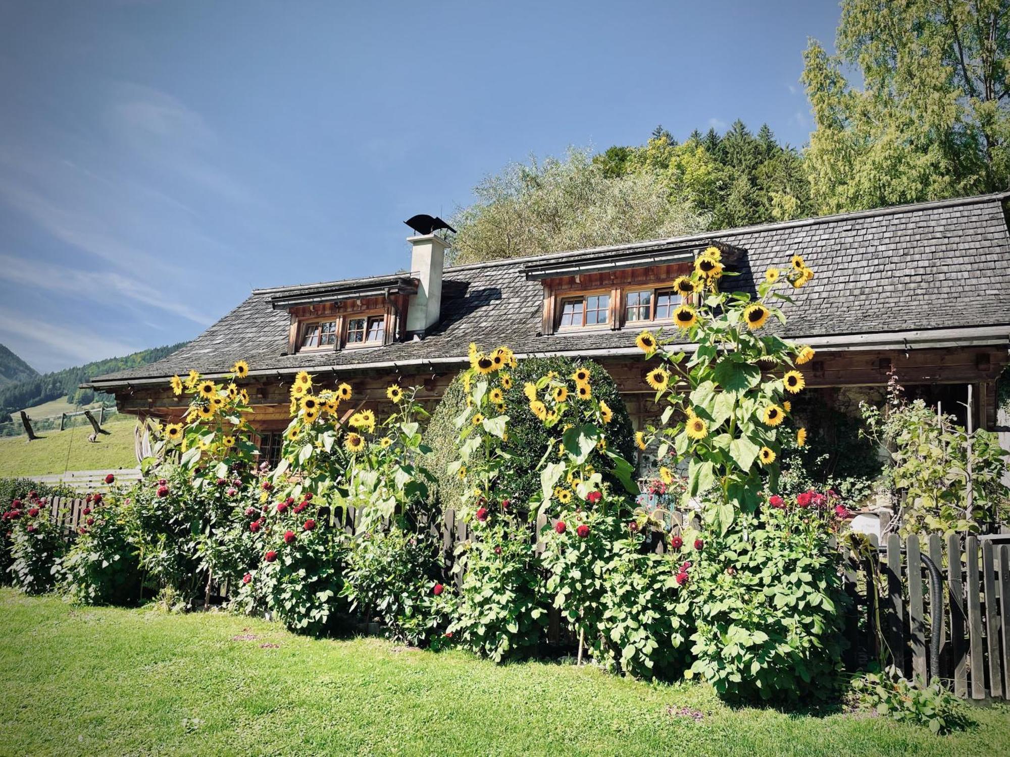 Rafting Camp Palfau Guest House Exterior foto
